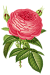 0_c4576_e3e7e1b8_S (99x150, 28Kb)