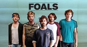 Foals